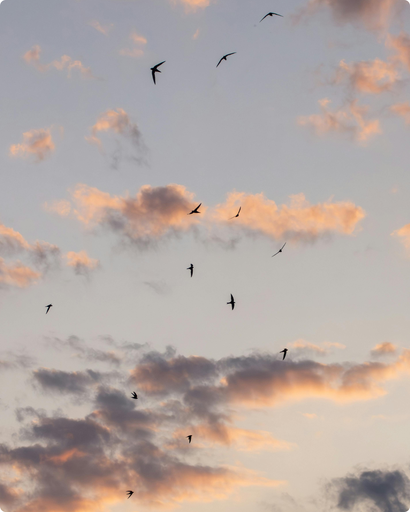 إتــــــزان1 